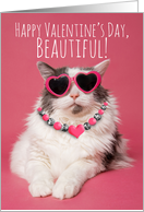 Happy Valentines Day For Any One Cute Cat in Sunglasses and Necklace card
