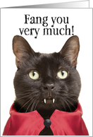 Thank You For Anyone Funny Cat Vampire Humor card