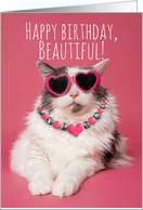 Happy Birthday Beautiful For Any One Cute Funny Cat in Heart Glasses card