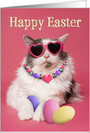 Happy Easter For Anyone Glamorous Cat With Eggs Humor card