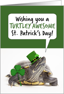 Happy St Patricks Day For Anyone Cute Turtle humor card