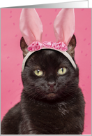 Happy Easter For Anyone Cute Black Cat in Bunny Ears Humor card