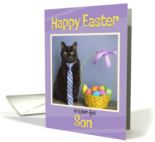 Happy Easter Son Cute Cat in Tie With Easter Basket Humor card