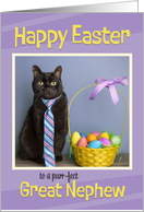 Happy Easter Great Nephew Cute Cat in Tie With Easter Basket Humor card