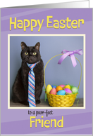 Happy Easter Friend Cute Cat in Tie With Easter Basket Humor card