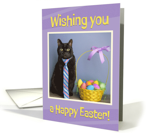 Happy Easter For Anyone Cute Cat in Tie With Easter Basket Humor card