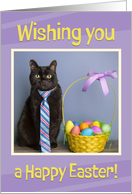 Happy Easter For Anyone Cute Cat in Tie With Easter Basket Humor card