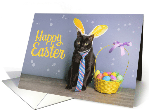 Happy Easter For Anyone Cute Cat in Bunny Ears Easter... (1760276)
