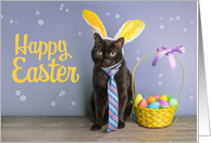 Happy Easter For Anyone Cute Cat in Bunny Ears Easter Basket Humor card