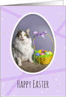Happy Easter For Anyone Cute Cat With Basket in Egg Shape card
