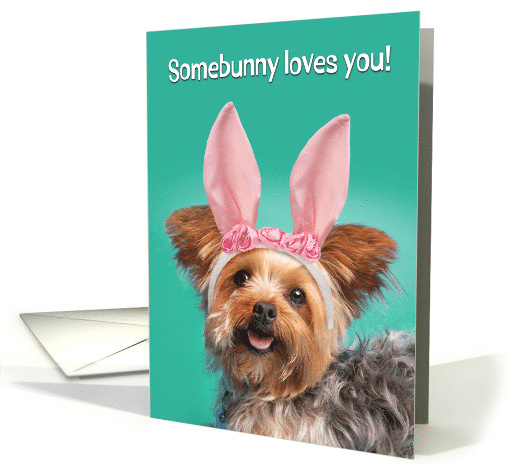 Happy Easter For The Dog Cute Yorkie in Bunny Ears Humor card