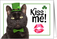 Happy St Patricks Day Kiss Me Cat in Green Hat and Bow Tie Humor card