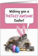 Happy Easter For Anyone Tortiley Awesome Turtle in Bunny Ears Humor card
