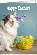 Happy Easter For Anyone Cat Licking Face With Easter Basket Humor card