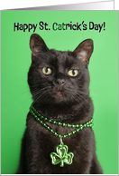 Happy St Patricks For Anyone Day Funny Cat in Shamrock Necklace card
