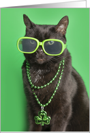 Happy St Patricks Day Cat in Green Humor card