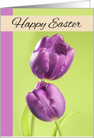 Happy Easter For Anyone Pretty Purple Tulips Photograph card