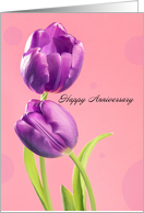 Happy Anniversary Beautiful Purple Tulips on Pink Photograph card