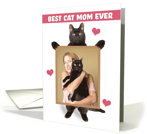 Happy Mothers Day From The Cat Your Picture Here Cat... (1762702)