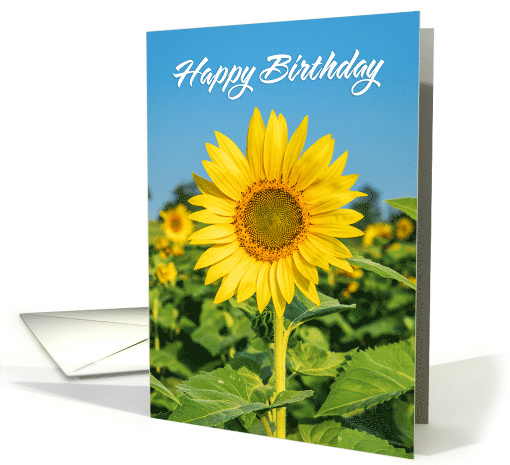 Happy Birthday For Anyone Beautiful Sunflower Photograph card