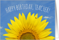 Happy Birthday Teacher Beautiful Sunflower with Ladybug Photograph card