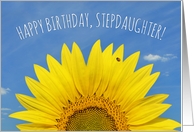 Happy Birthday Stepdaughter Beautiful Sunflower with Ladybug Photo card