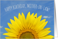 Happy Birthday Mother In Law Beautiful Sunflower with Ladybug Photo card