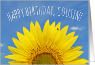 Happy Birthday Cousin Beautiful Sunflower with Ladybug Photo card