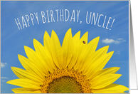 Happy Birthday Uncle Beautiful Sunflower with Ladybug Photo card