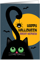 Happy Halloween Great Nephew Cute Black Cat With Spider Illustration card