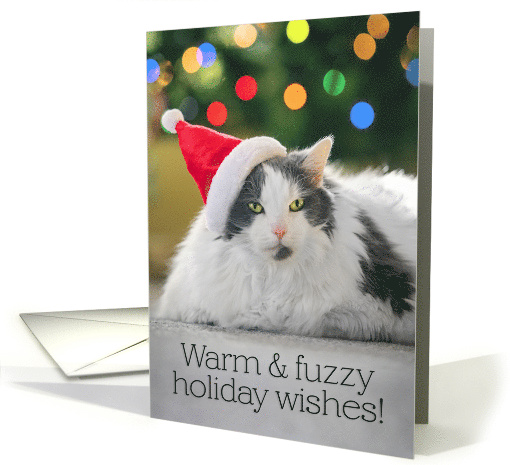 Merry Christmas For Anyone Warm and Fuzzy Cat in Santa... (1794200)
