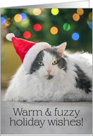 Merry Christmas For Anyone Warm and Fuzzy Cat in Santa hat Under Tree card