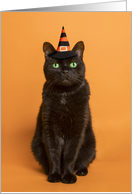 Happy Halloween For Anyone Black Cat in Witch Hat Humor card