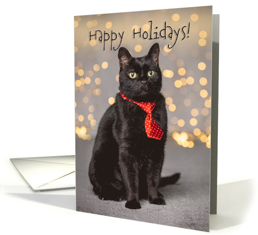 Happy Holidays For Anyone Cute Black Cat in Red Tie Humor card