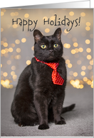 Happy Holidays For Anyone Cute Black Cat in Red Tie Humor card