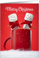 Merry Christmas For Anyone Marshmallow Couple in Hot Chocolate card