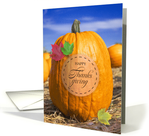Happy Thanksgiving For Anyone Pumpkin Patch with Fall Leaves card