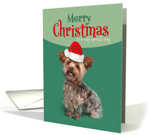 Merry Christmas For Dog Cute Yorkie in Santa Hat Photo card (1802950)