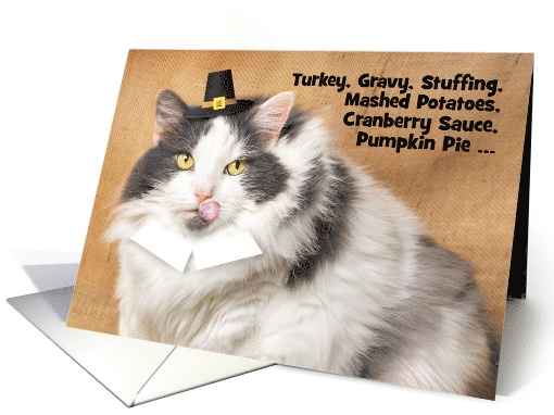 Happy Thankgiving For Anyone Funny Fat Cat in Pilgrim Costume card