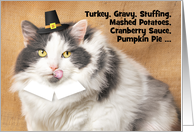Happy Thankgiving For Anyone Funny Fat Cat in Pilgrim Costume card