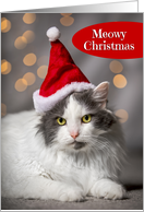 Meowy Merry Christmas For Anyone Cute Cat in Santa Hat Humor card