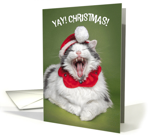 Merry Christmas For Anyone Happy Cat in Hat With Mouth Open Humor card