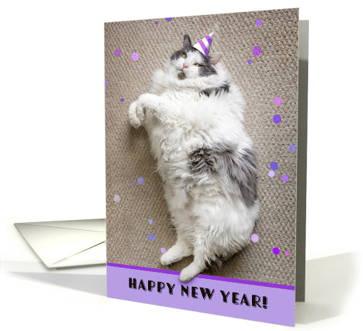 Happy New Year For Anyone Fat Cat Humor card (1807074)