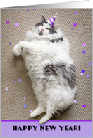 Happy New Year For Anyone Fat Cat Humor card