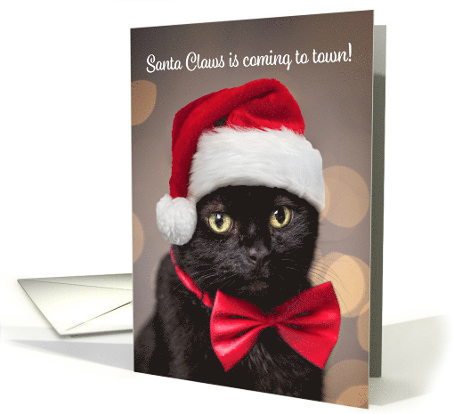 Merry Christmas For Anyone Cat in Santa Hat Humor card (1808642)