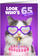 Happy Birthday 65 and Retired Year Old Cute Cat WIth Cake Humor card