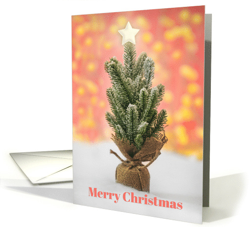 Merry Christmas For Anyone Small Tree With Star on Pink Lights card