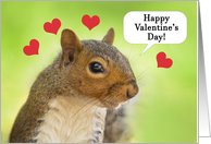 Happy Valentines Day Cute Squirrel With Hearts card