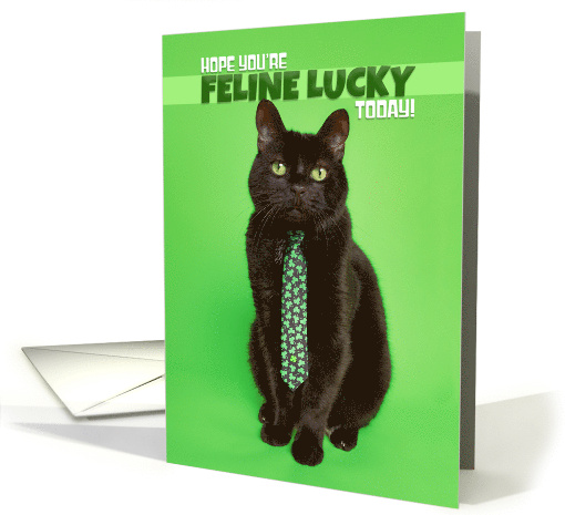 Happy St Patricks Day Funny Cat in Shamrock on Green Humor card