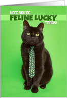 Happy St Patricks Day Funny Cat in Shamrock on Green Humor card